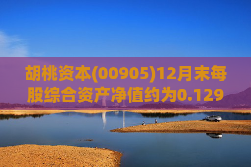 胡桃资本(00905)12月末每股综合资产净值约为0.129港元