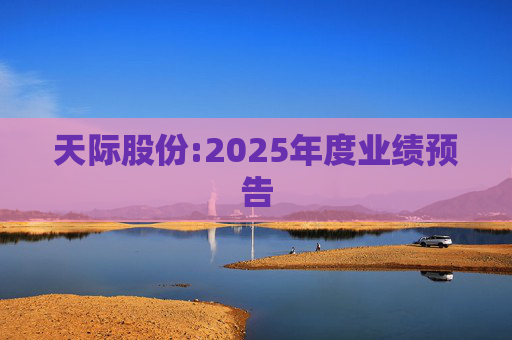 天际股份:2025年度业绩预告
