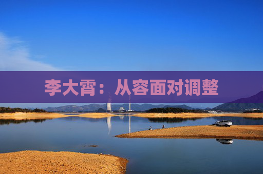 李大霄：从容面对调整