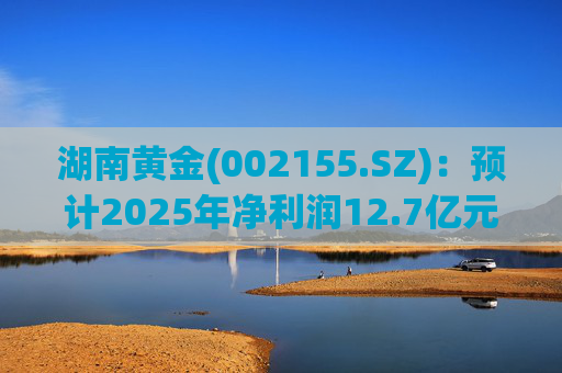 湖南黄金(002155.SZ)：预计2025年净利润12.7亿元至16.08亿元，同比增长50.00%～90.00%  第1张