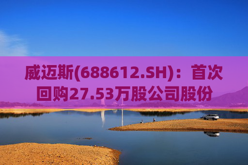 威迈斯(688612.SH)：首次回购27.53万股公司股份