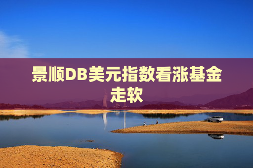 景顺DB美元指数看涨基金走软