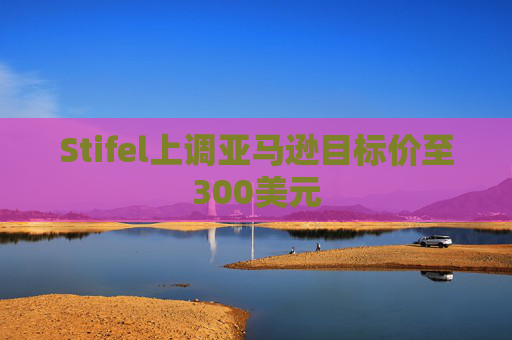 Stifel上调亚马逊目标价至300美元