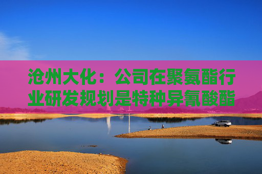 沧州大化：公司在聚氨酯行业研发规划是特种异氰酸酯产品的研发