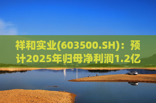 祥和实业(603500.SH)：预计2025年归母净利润1.2亿元到1.48亿元，同比增长59.17%到96.31%