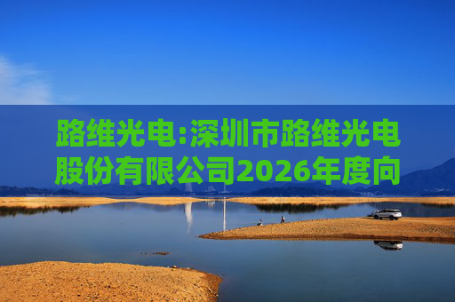 路维光电:深圳市路维光电股份有限公司2026年度向特定对象发行A股股票预案