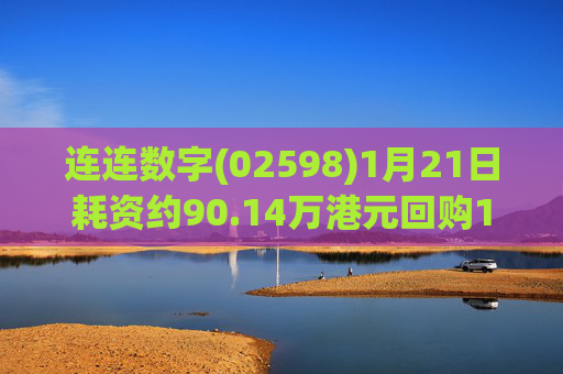 连连数字(02598)1月21日耗资约90.14万港元回购13.2万股