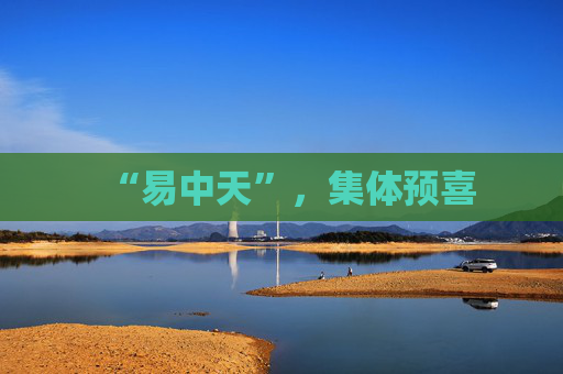 “易中天”，集体预喜