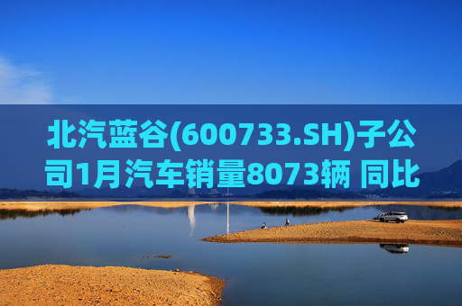 北汽蓝谷(600733.SH)子公司1月汽车销量8073辆 同比增长11.83%