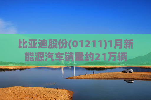 比亚迪股份(01211)1月新能源汽车销量约21万辆