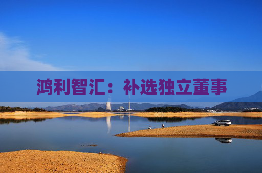 鸿利智汇：补选独立董事