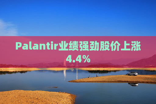 Palantir业绩强劲股价上涨4.4%