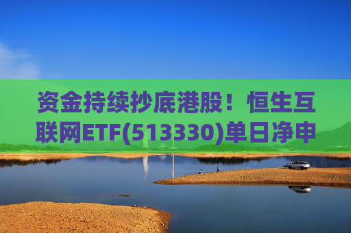 资金持续抄底港股！恒生互联网ETF(513330)单日净申购17.68亿份，规模最大的恒生科技指数ETF(513180)去年10月以来“吸金”146亿