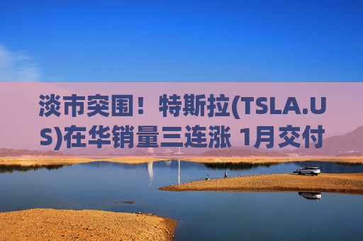 淡市突围！特斯拉(TSLA.US)在华销量三连涨 1月交付近7万辆同比增9%