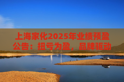 上海家化2025年业绩预盈公告：扭亏为盈，品牌驱动重回增长轨道