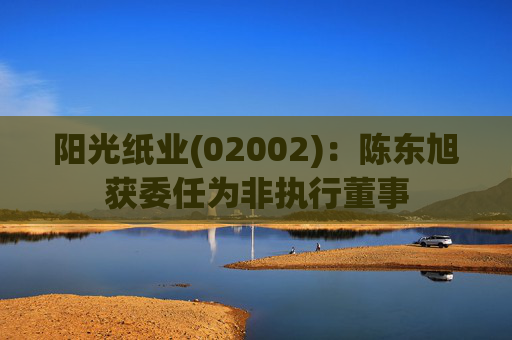 阳光纸业(02002)：陈东旭获委任为非执行董事