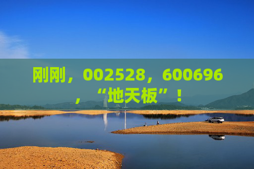 刚刚，002528，600696，“地天板”！