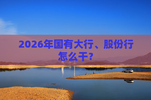 2026年国有大行、股份行怎么干？