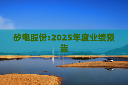 矽电股份:2025年度业绩预告