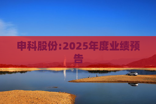 申科股份:2025年度业绩预告