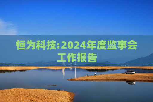 恒为科技:2024年度监事会工作报告