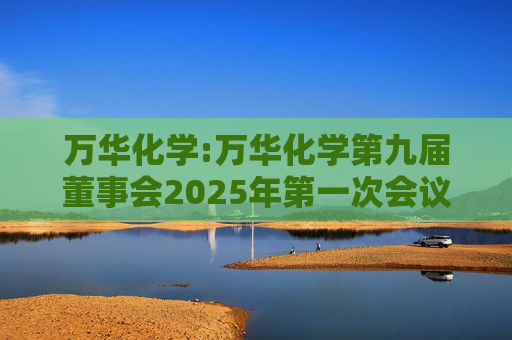 万华化学:万华化学第九届董事会2025年第一次会议决议公告