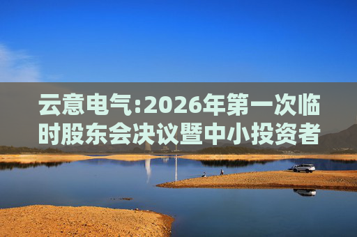 云意电气:2026年第一次临时股东会决议暨中小投资者表决结果公告