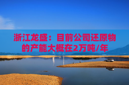 浙江龙盛：目前公司还原物的产能大概在2万吨/年