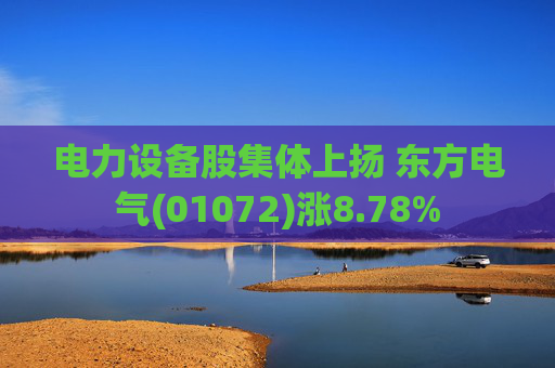 电力设备股集体上扬 东方电气(01072)涨8.78%