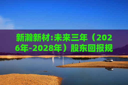 新瀚新材:未来三年（2026年-2028年）股东回报规划