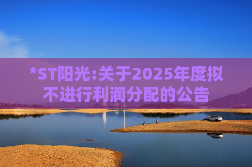 *ST阳光:关于2025年度拟不进行利润分配的公告