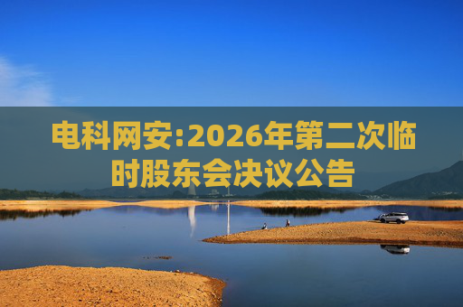 电科网安:2026年第二次临时股东会决议公告