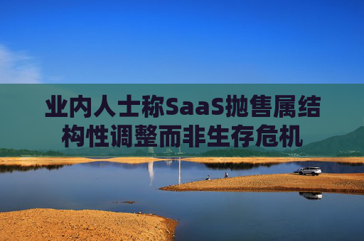 业内人士称SaaS抛售属结构性调整而非生存危机