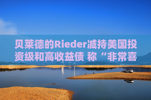贝莱德的Rieder减持美国投资级和高收益债 称“非常喜欢”新兴市场