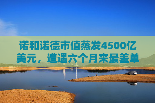 诺和诺德市值蒸发4500亿美元，遭遇六个月来最差单周表现