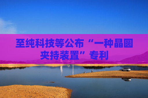 至纯科技等公布“一种晶圆夹持装置”专利
