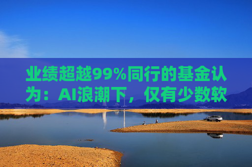 业绩超越99%同行的基金认为：AI浪潮下，仅有少数软件公司能存活