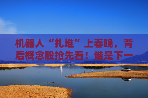 机器人“扎堆”上春晚，背后概念股抢先看！谁是下一个“宇树”？