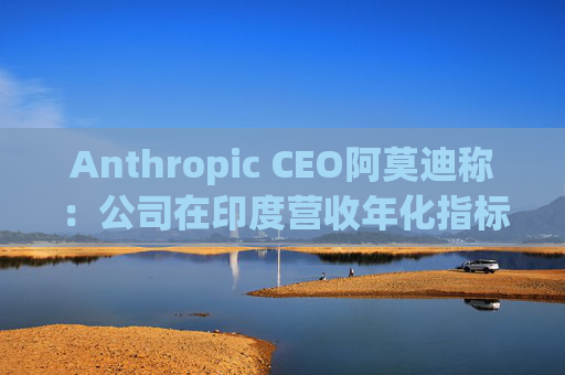 Anthropic CEO阿莫迪称：公司在印度营收年化指标4个月内翻倍