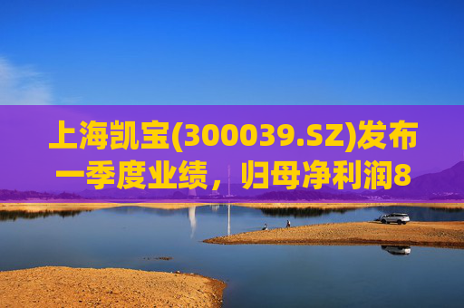 上海凯宝(300039.SZ)发布一季度业绩，归母净利润8429.28万元，下降4.71%