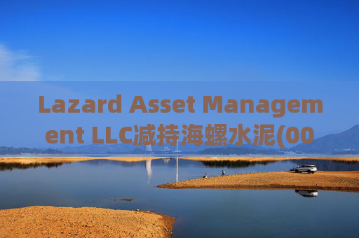 Lazard Asset Management LLC减持海螺水泥(00914)约1436.48万股 每股作价25.79港元  第1张