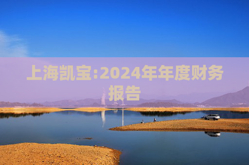 上海凯宝:2024年年度财务报告  第1张
