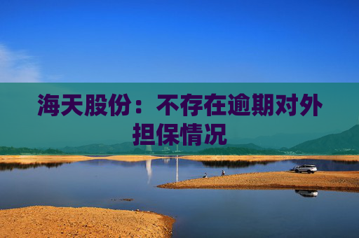 海天股份：不存在逾期对外担保情况  第1张