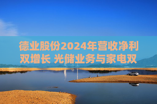 德业股份2024年营收净利双增长 光储业务与家电双轮驱动发力