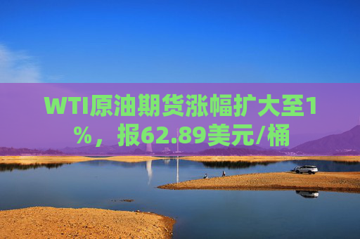 WTI原油期货涨幅扩大至1%，报62.89美元/桶
