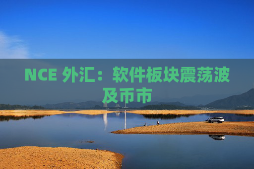 NCE 外汇：软件板块震荡波及币市