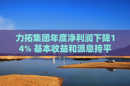 力拓集团年度净利润下降14% 基本收益和派息持平