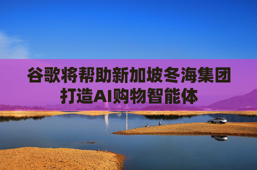 谷歌将帮助新加坡冬海集团打造AI购物智能体