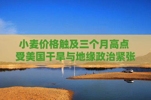 小麦价格触及三个月高点 受美国干旱与地缘政治紧张局势推动