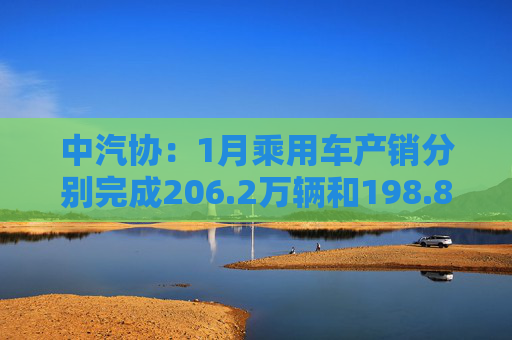 中汽协：1月乘用车产销分别完成206.2万辆和198.8万辆 同比分别下降4.1%和6.8%